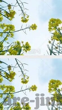 360足球十四比分-探秘360足球十四比分背后的数据魅力与赛事激情