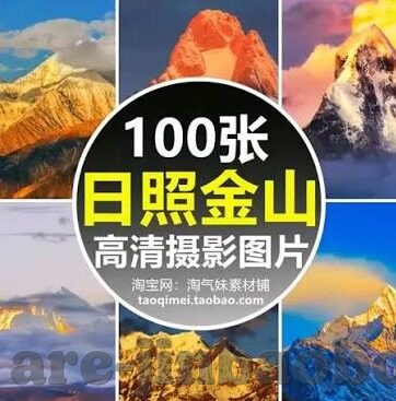 足球比分大师dz-探秘足球比分大师dz，数据背后的智慧与激情